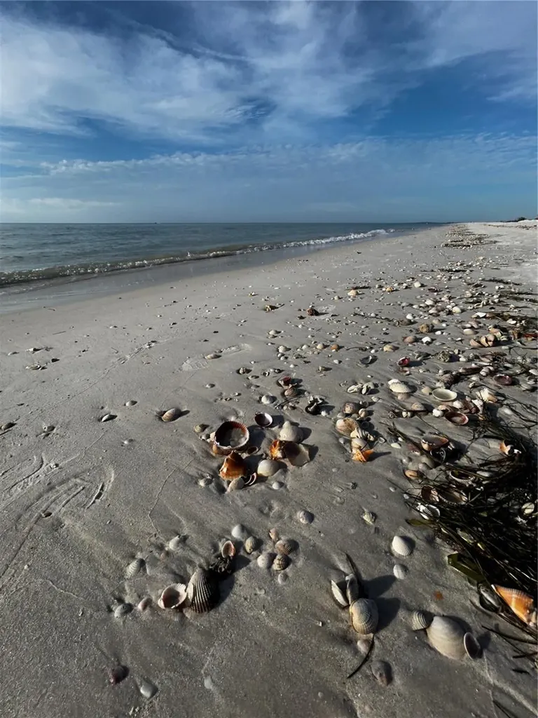 880 Mandalay Avenue Clearwater Beach FL 33767