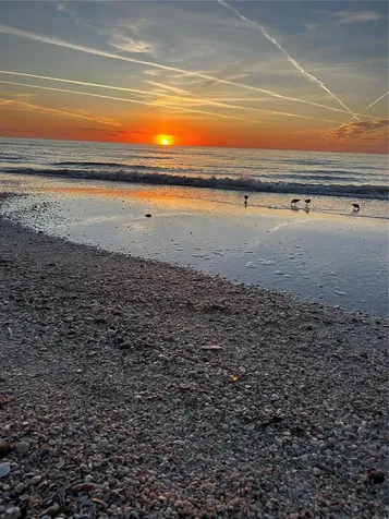 880 Mandalay Avenue Clearwater Beach FL 33767