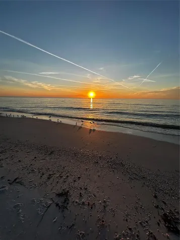880 Mandalay Avenue Clearwater Beach FL 33767