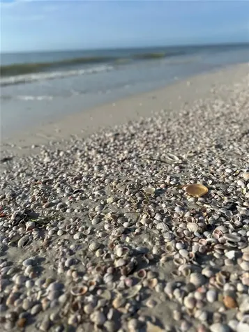 880 Mandalay Avenue Clearwater Beach FL 33767