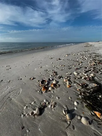 880 Mandalay Avenue Clearwater Beach FL 33767