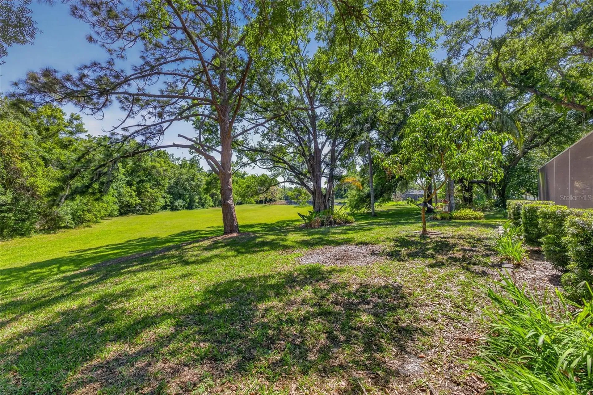 5035 Barrowe Drive Tampa FL 33624