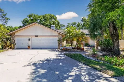 5035 Barrowe Drive Tampa FL 33624
