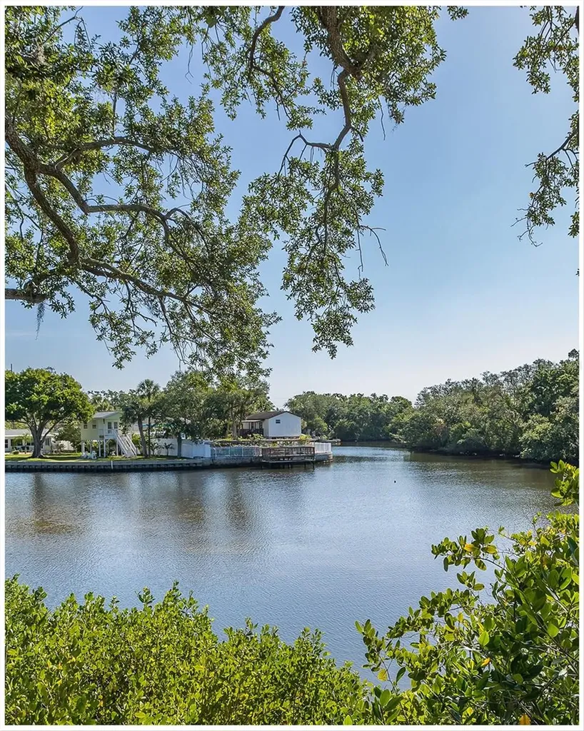 9001 Tudor Drive Tampa FL 33615