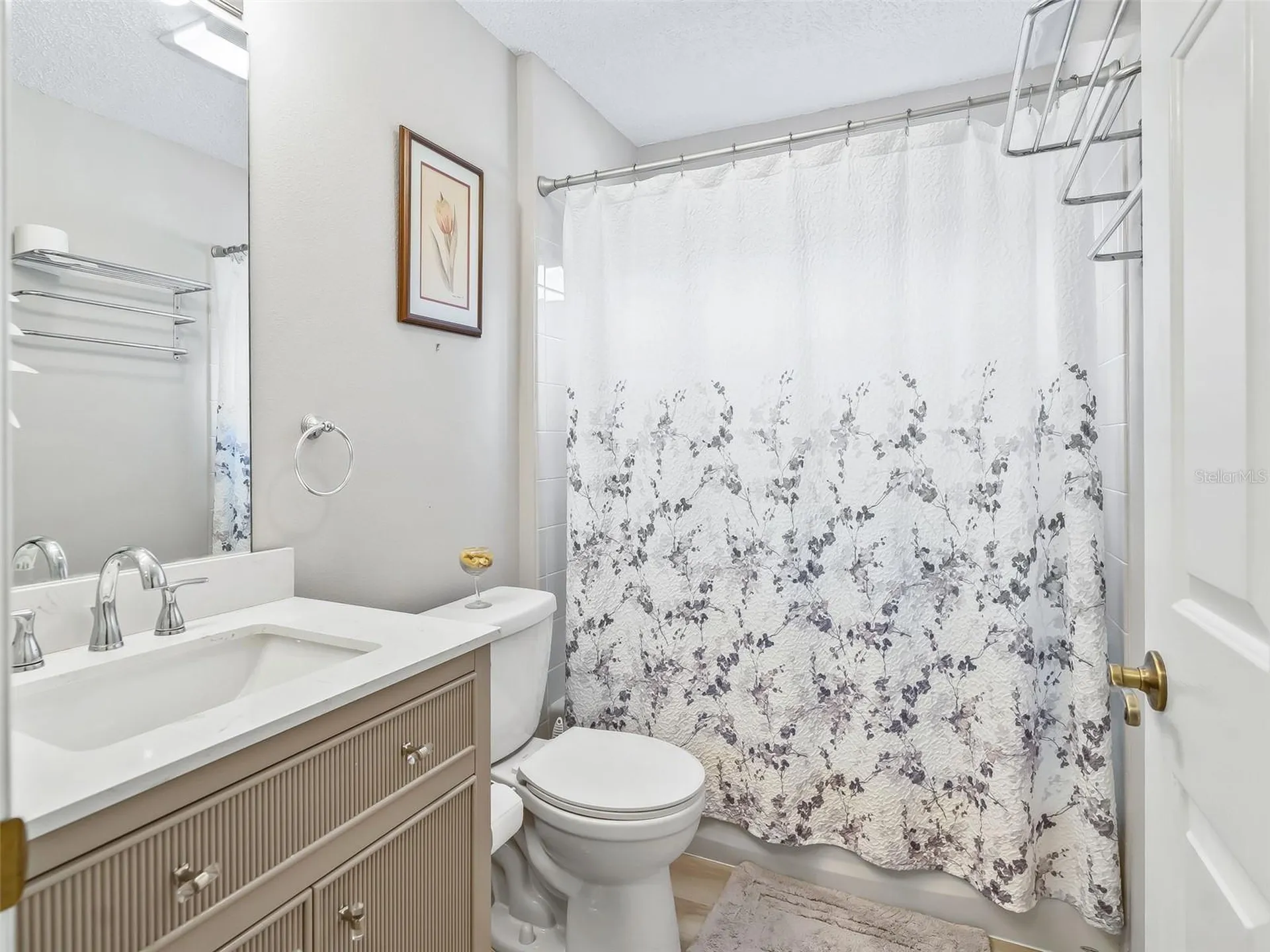 1311 Trinidad Court The Villages FL 32162