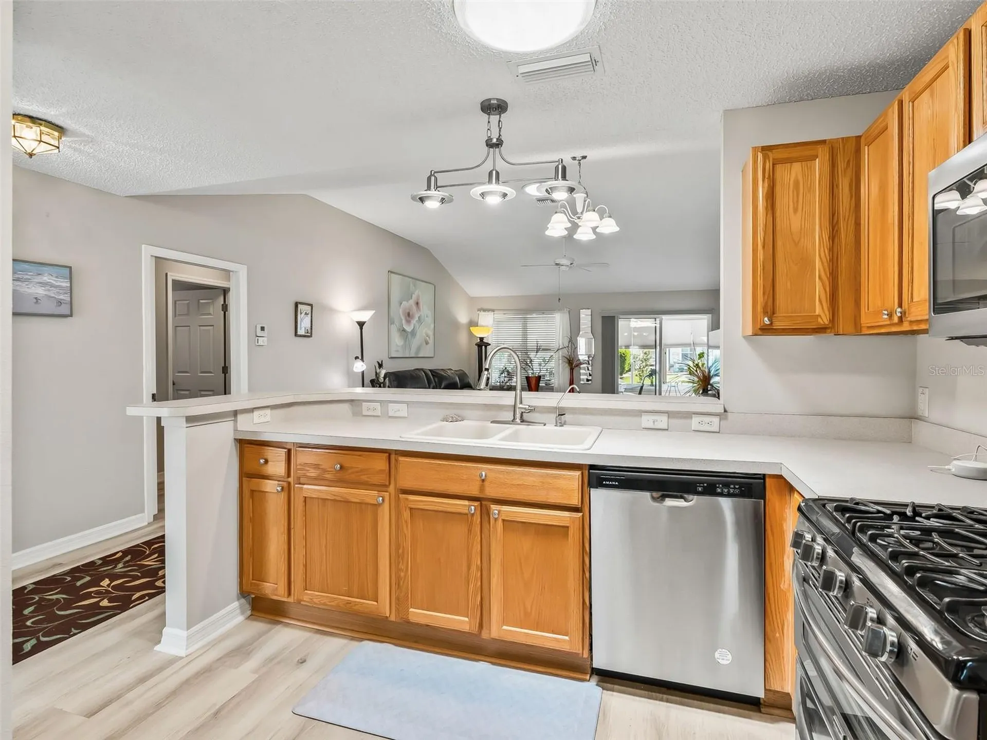 1311 Trinidad Court The Villages FL 32162