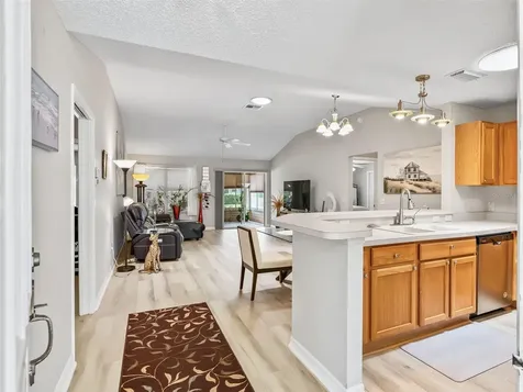 1311 Trinidad Court The Villages FL 32162