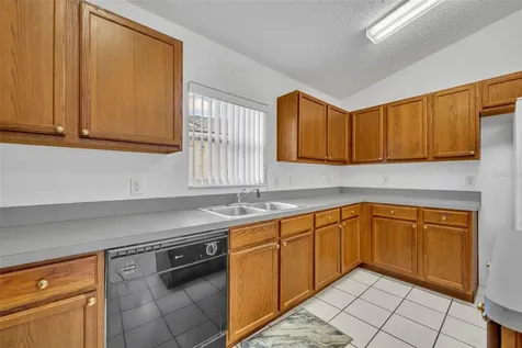 4936 Sawgrass Lake Circle Leesburg FL 34748