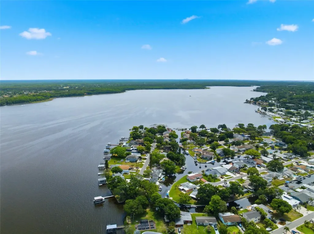 51 Cypress Drive Palm Harbor FL 34684
