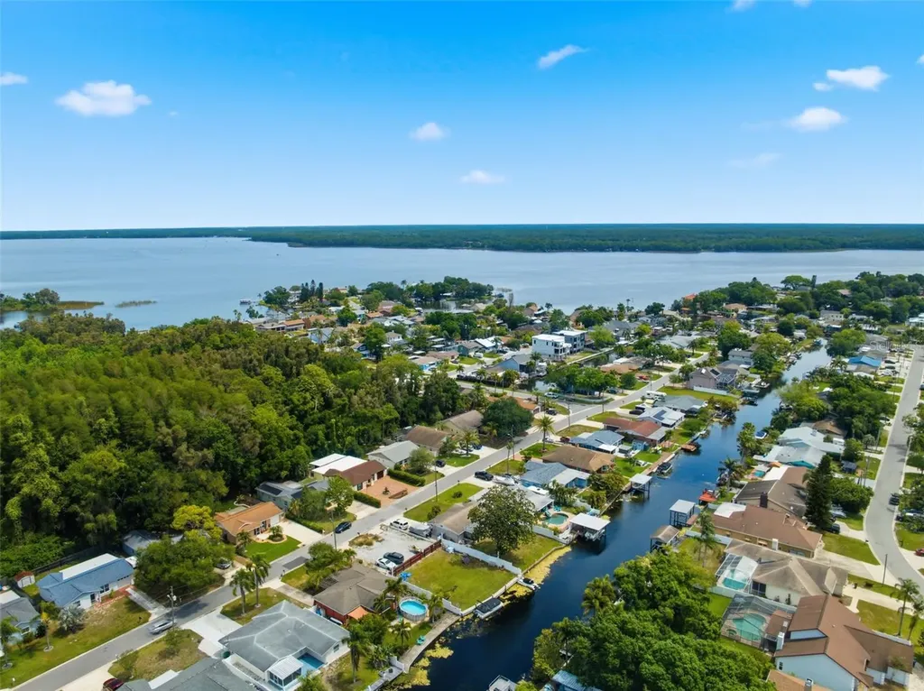 51 Cypress Drive Palm Harbor FL 34684