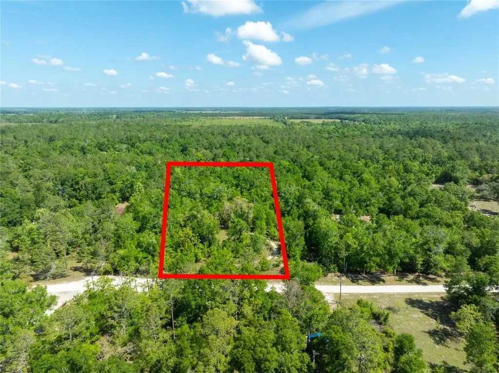 0 Pine Way O'brien FL 32071
