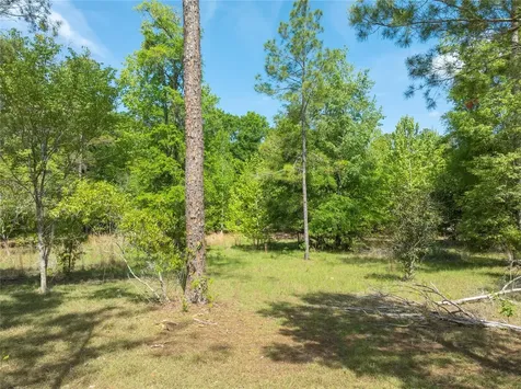 0 Pine Way O'brien FL 32071