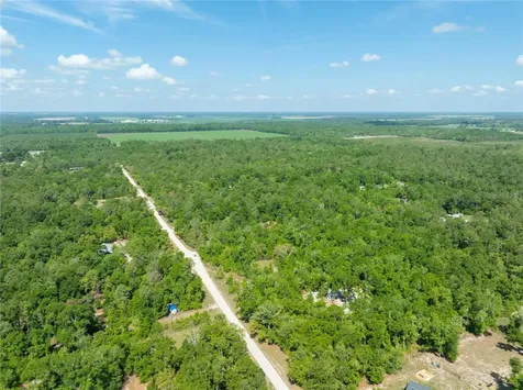 0 Pine Way O'brien FL 32071