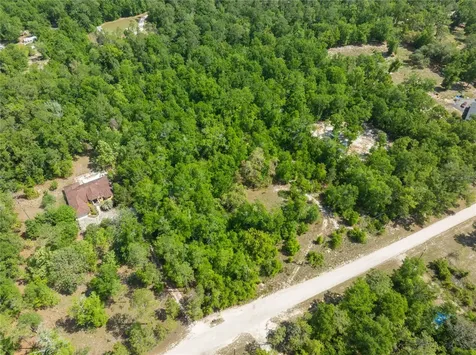 0 Pine Way O'brien FL 32071
