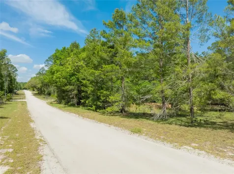 0 Pine Way O'brien FL 32071