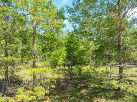 0 Pine Way O'brien FL 32071