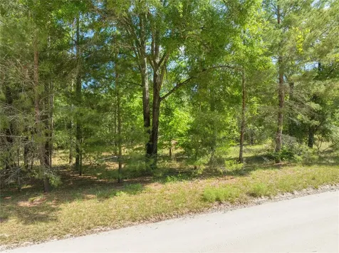 0 Pine Way O'brien FL 32071