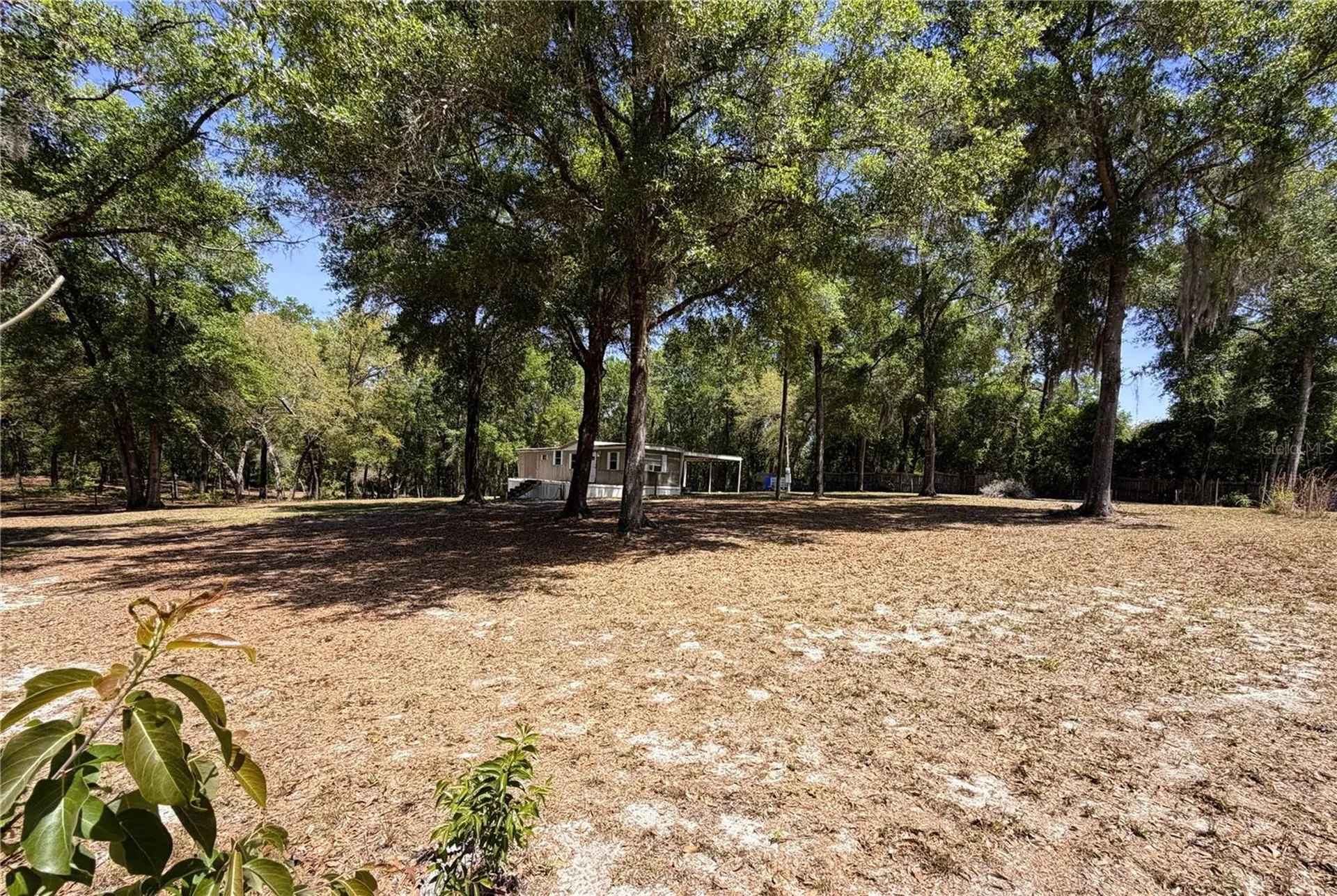 7727 Cypress Street Keystone Heights FL 32656