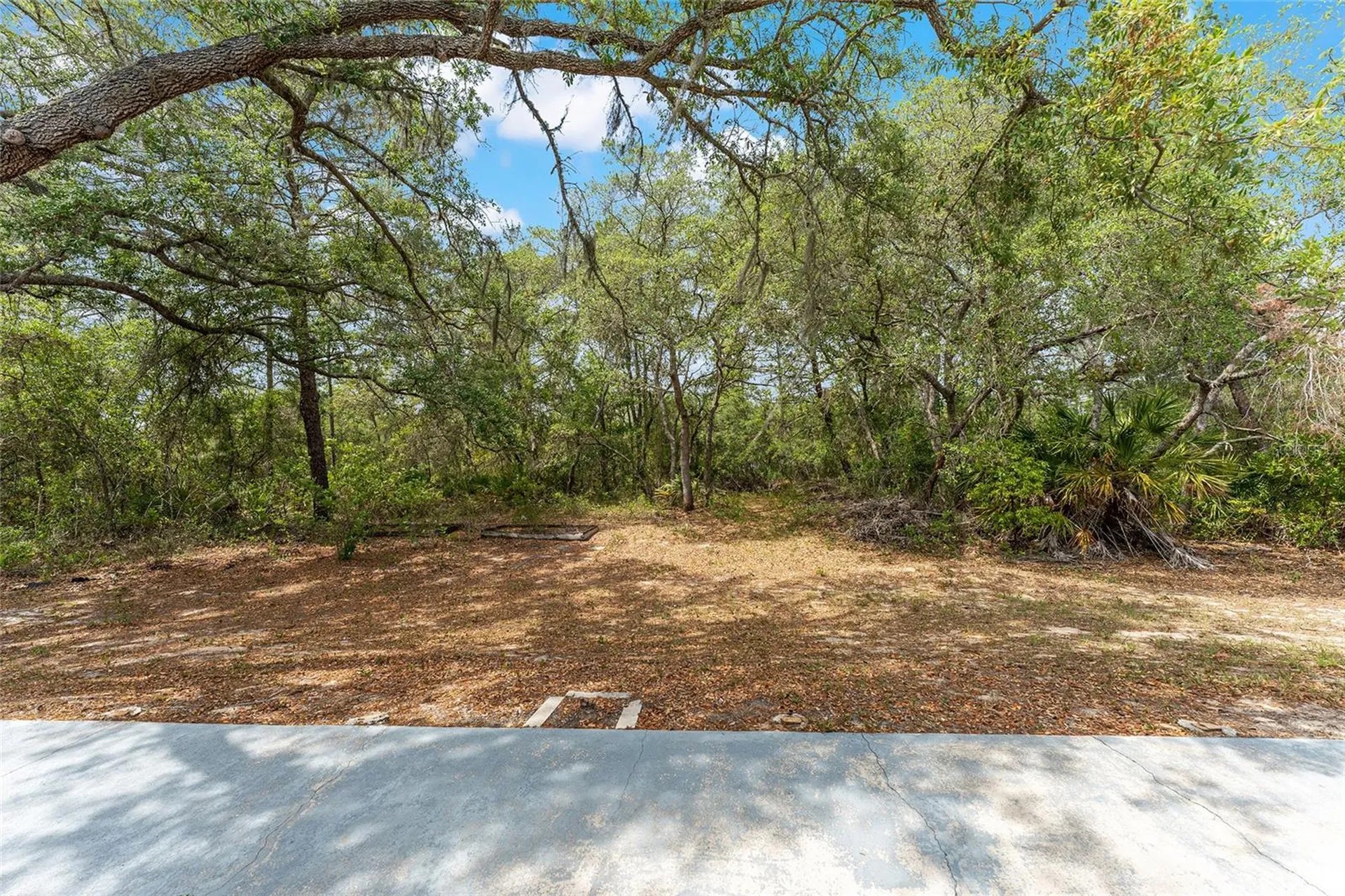 8212 N Zaval Avenue Dunnellon FL 34433