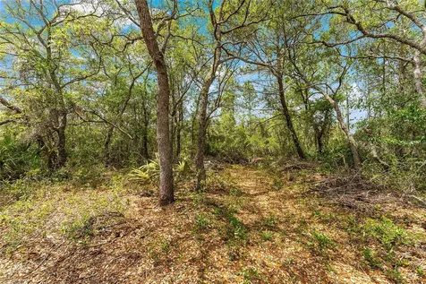 8212 N Zaval Avenue Dunnellon FL 34433