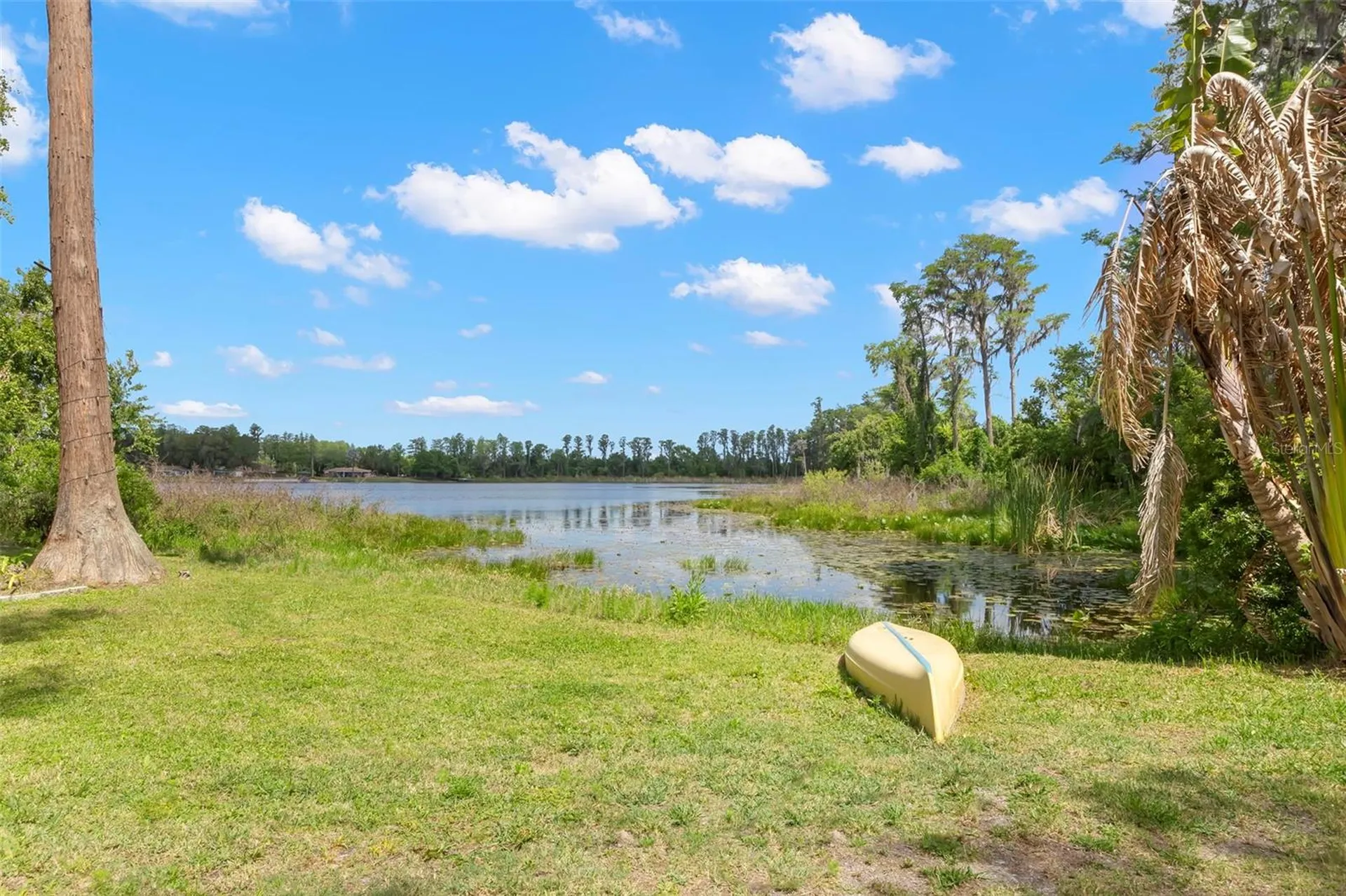 19229 Blount Road Lutz FL 33558