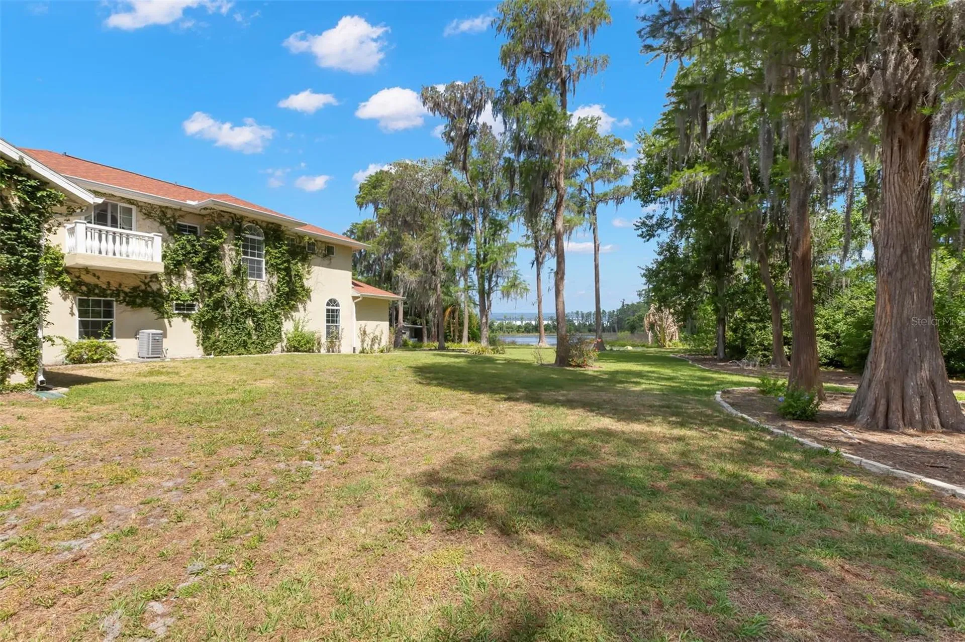 19229 Blount Road Lutz FL 33558