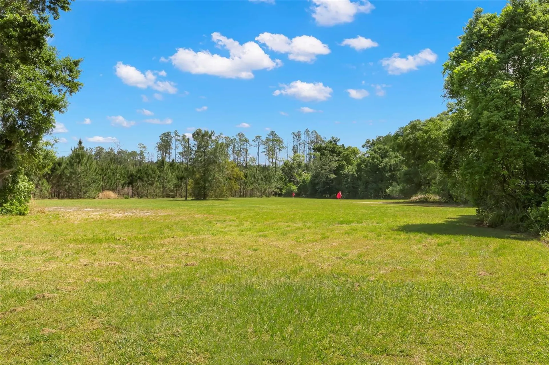 19229 Blount Road Lutz FL 33558