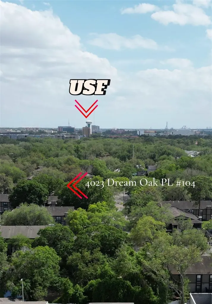 4023 Dream Oak Place Tampa FL 33613