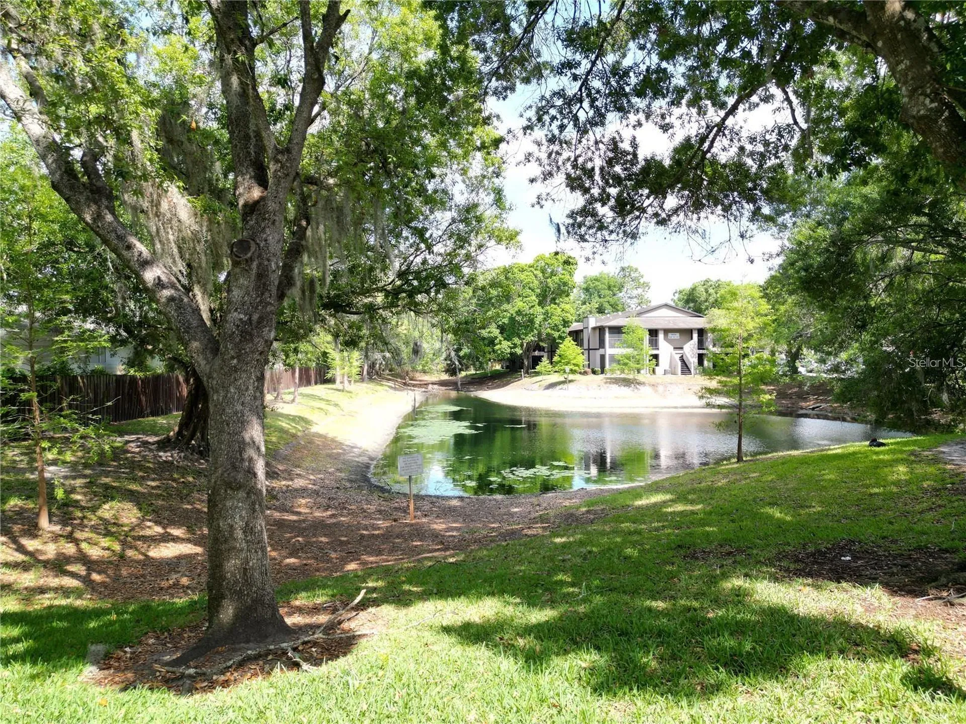 4023 Dream Oak Place Tampa FL 33613