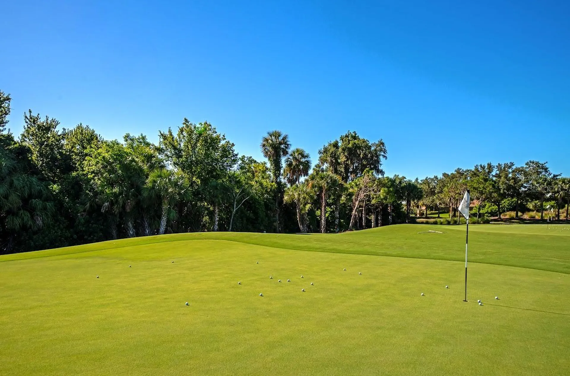 157 Wandering Wetlands Circle Bradenton FL 34212