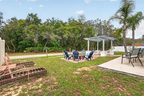359 Pebble Court Minneola FL 34715