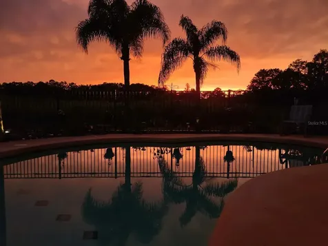 9030 Bullrush Court New Port Richey FL 34654