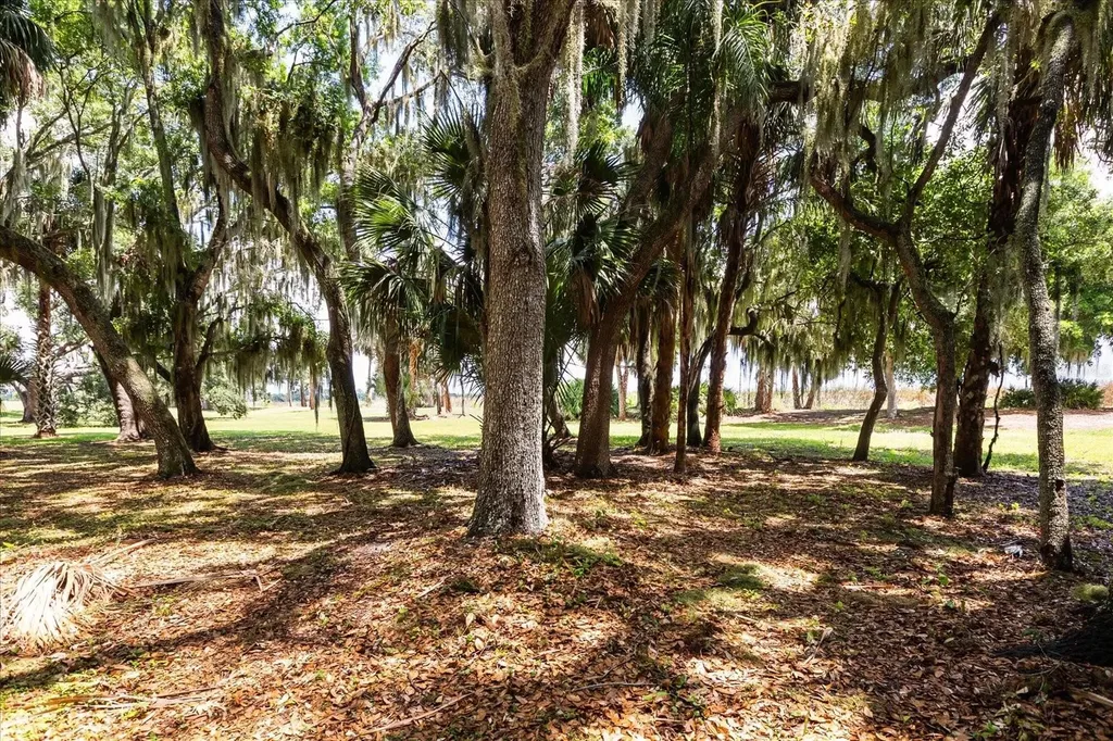 Tbd Deer Island Road Tavares FL 32778