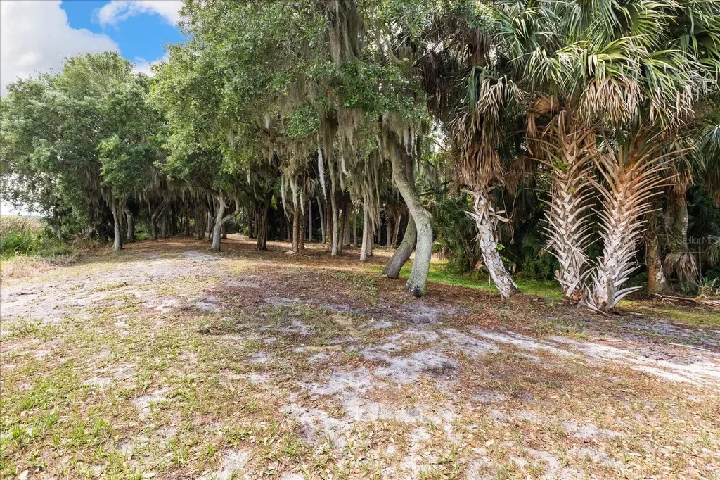 Tbd Deer Island Road Tavares FL 32778