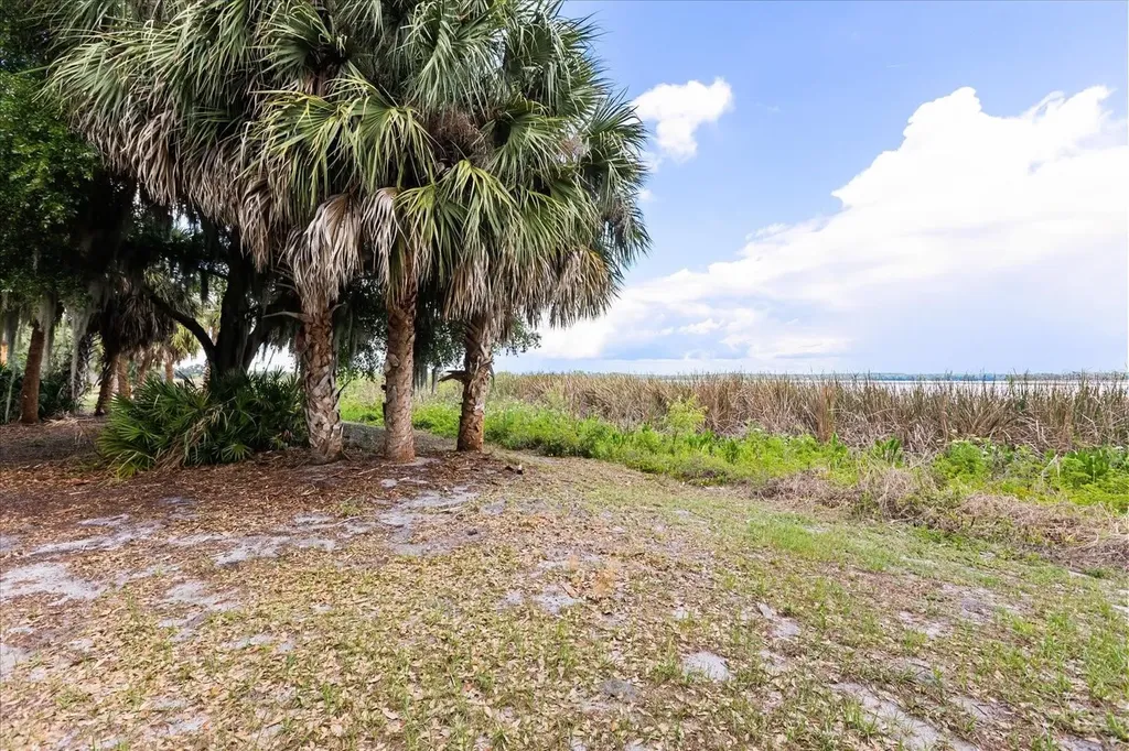 Tbd Deer Island Road Tavares FL 32778
