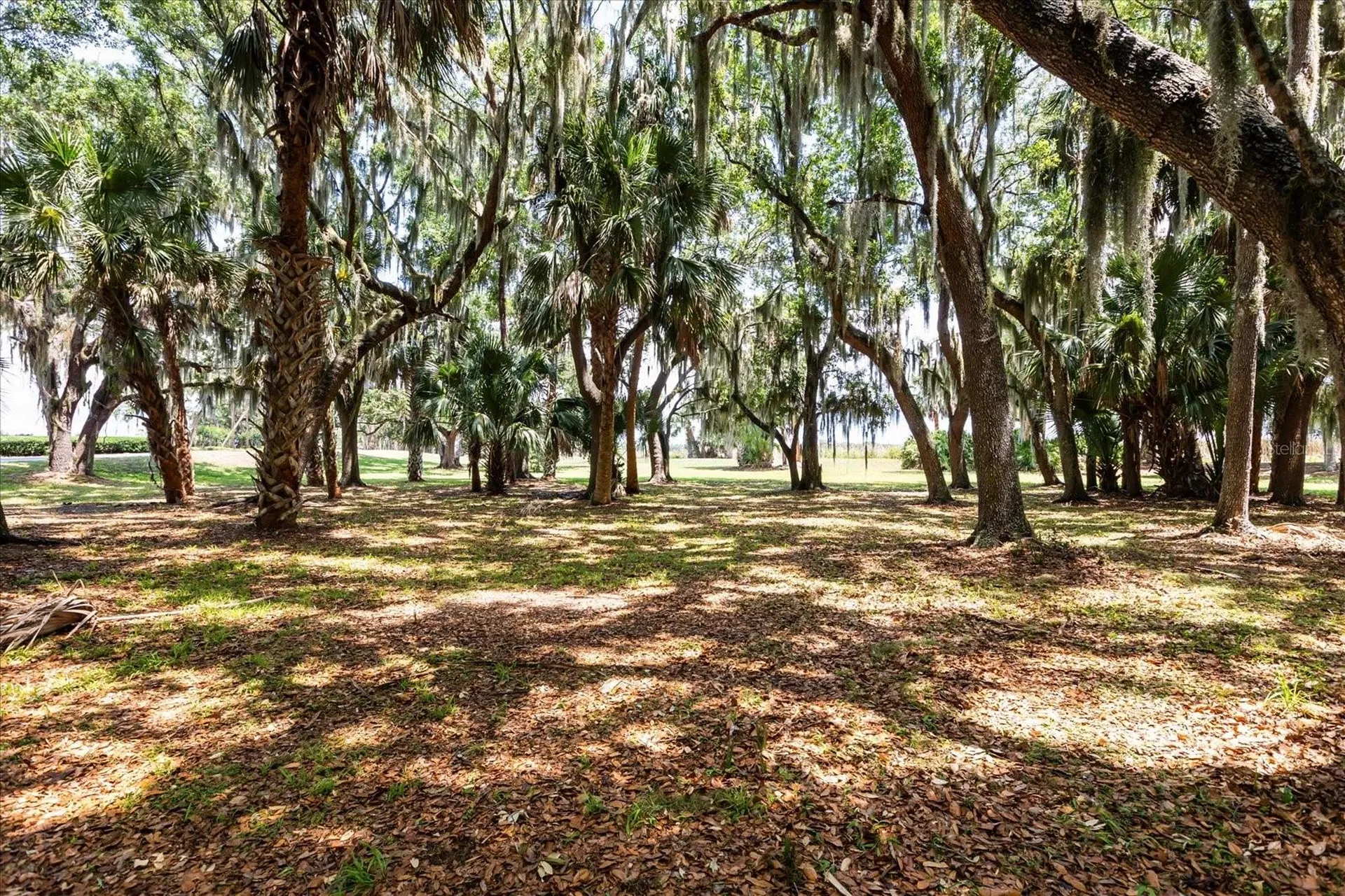 Tbd Deer Island Road Tavares FL 32778