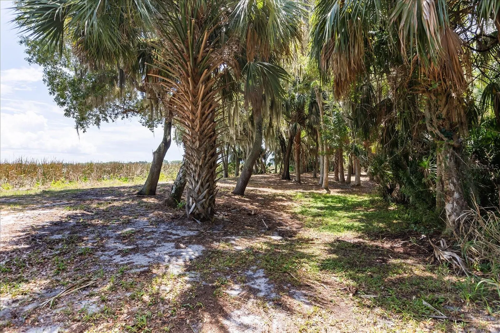 Tbd Deer Island Road Tavares FL 32778