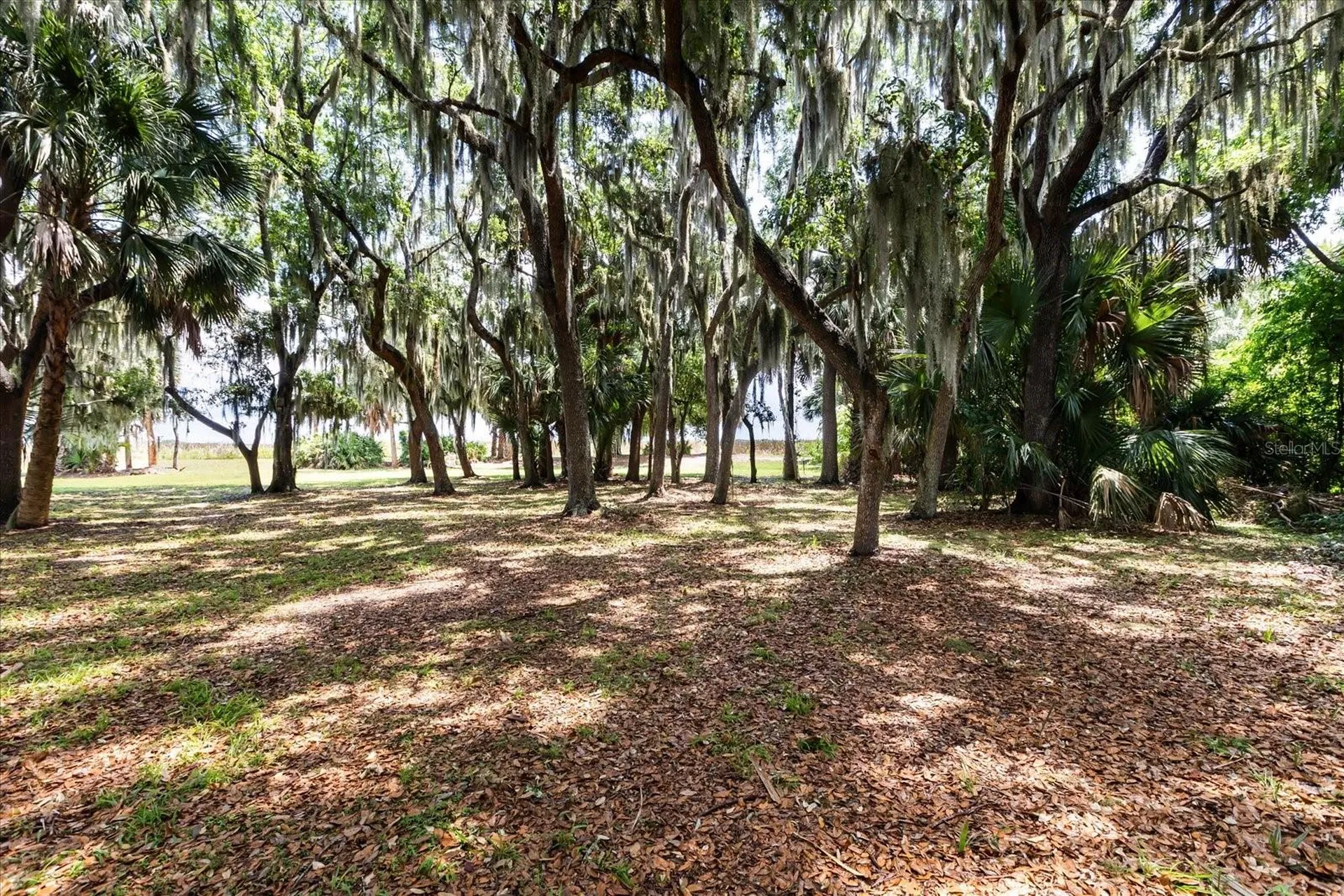 Tbd Deer Island Road Tavares FL 32778
