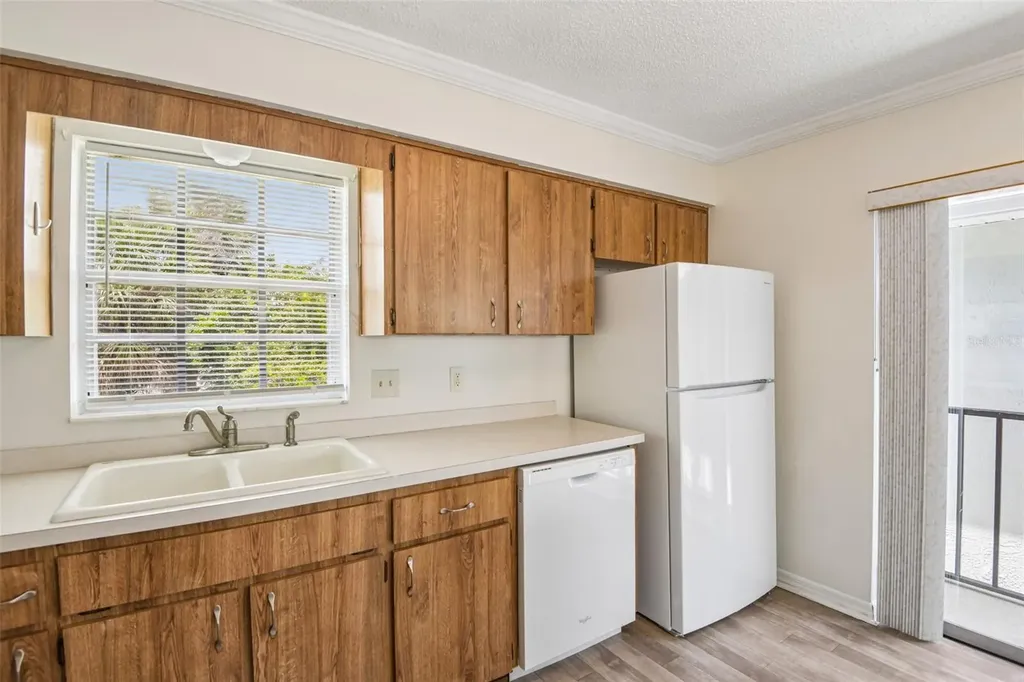 6704 Hickorywood Lane New Port Richey FL 34653