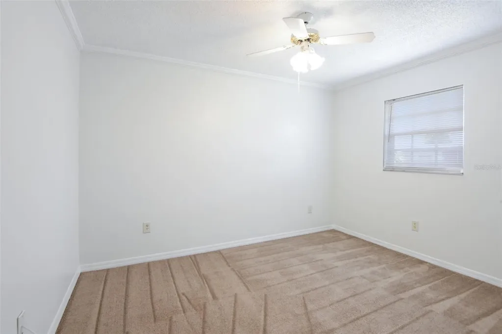 6704 Hickorywood Lane New Port Richey FL 34653