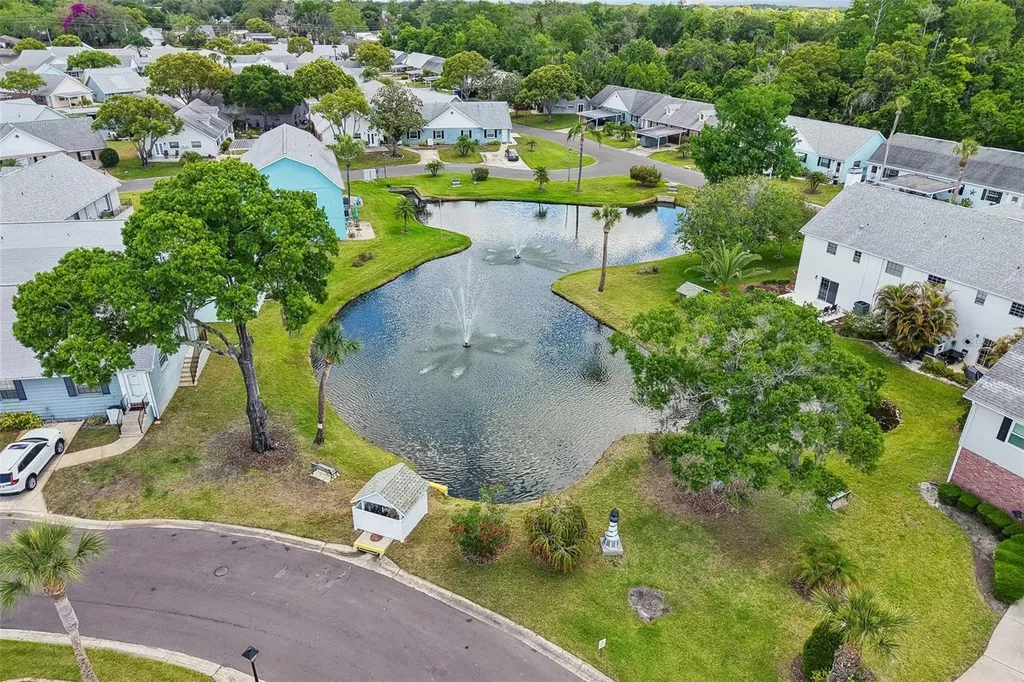 6704 Hickorywood Lane New Port Richey FL 34653