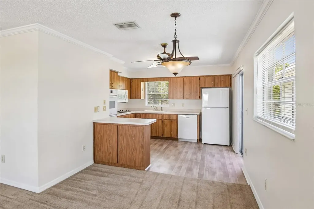6704 Hickorywood Lane New Port Richey FL 34653