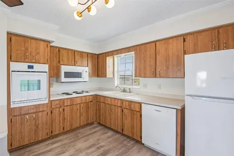 6704 Hickorywood Lane New Port Richey FL 34653