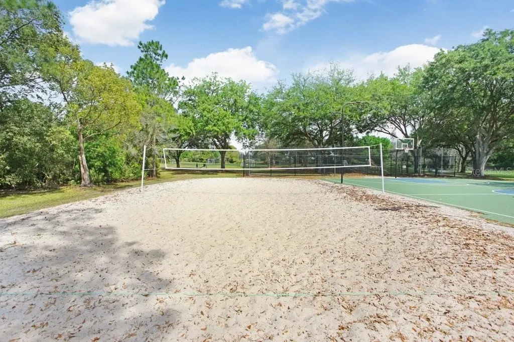 18124 Courtney Breeze Drive Tampa FL 33647