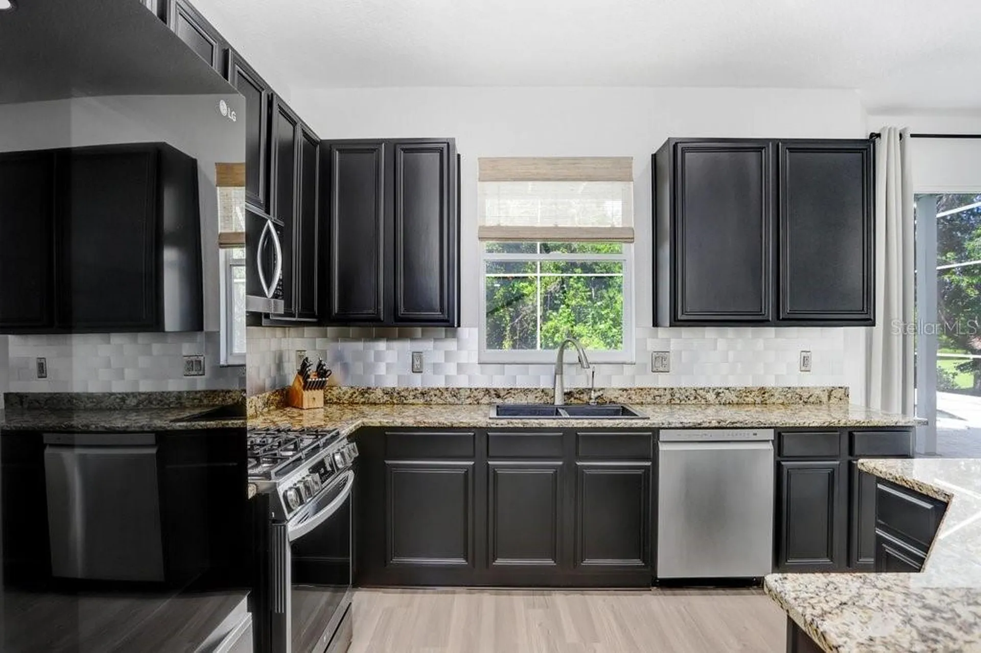 18124 Courtney Breeze Drive Tampa FL 33647