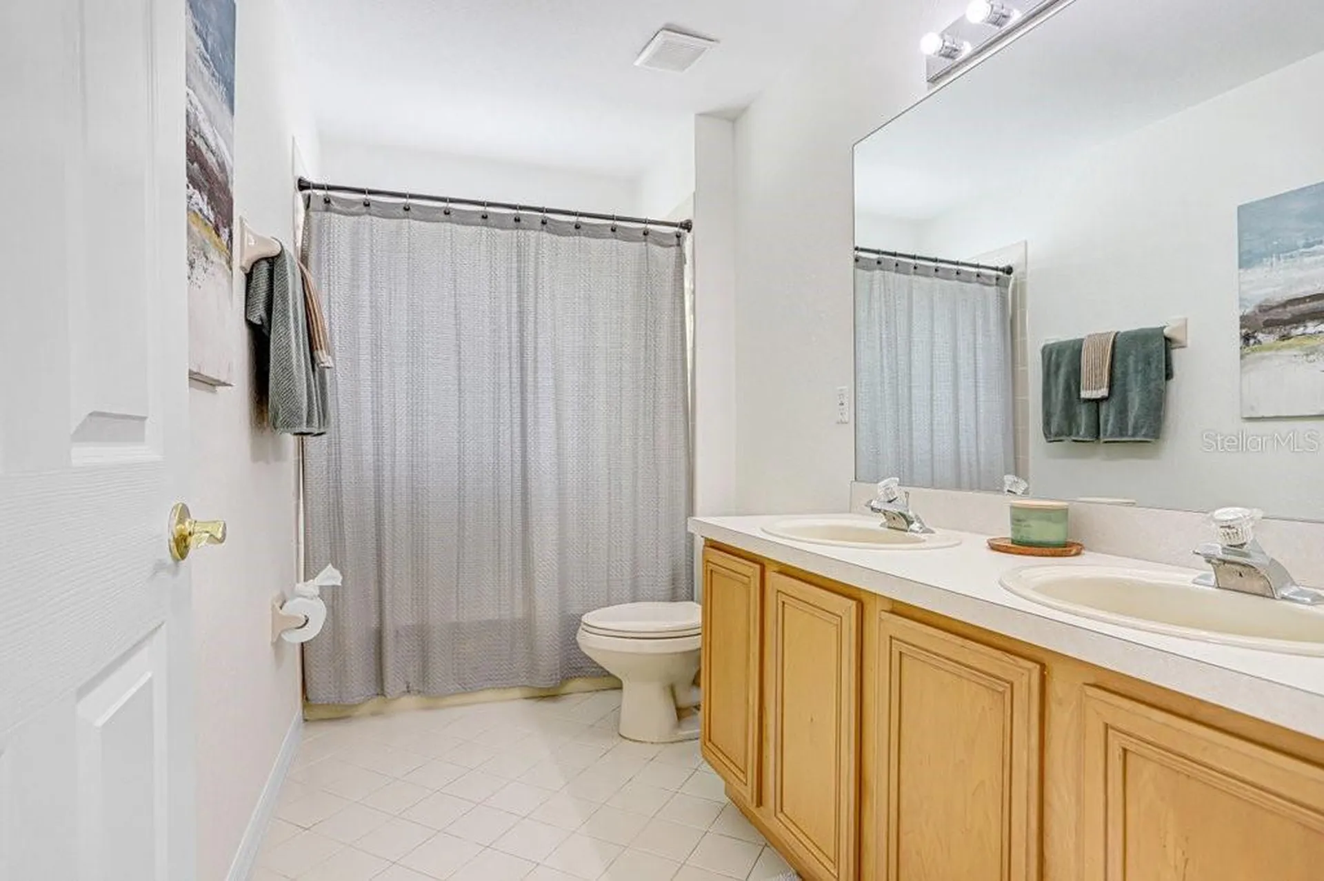 18124 Courtney Breeze Drive Tampa FL 33647