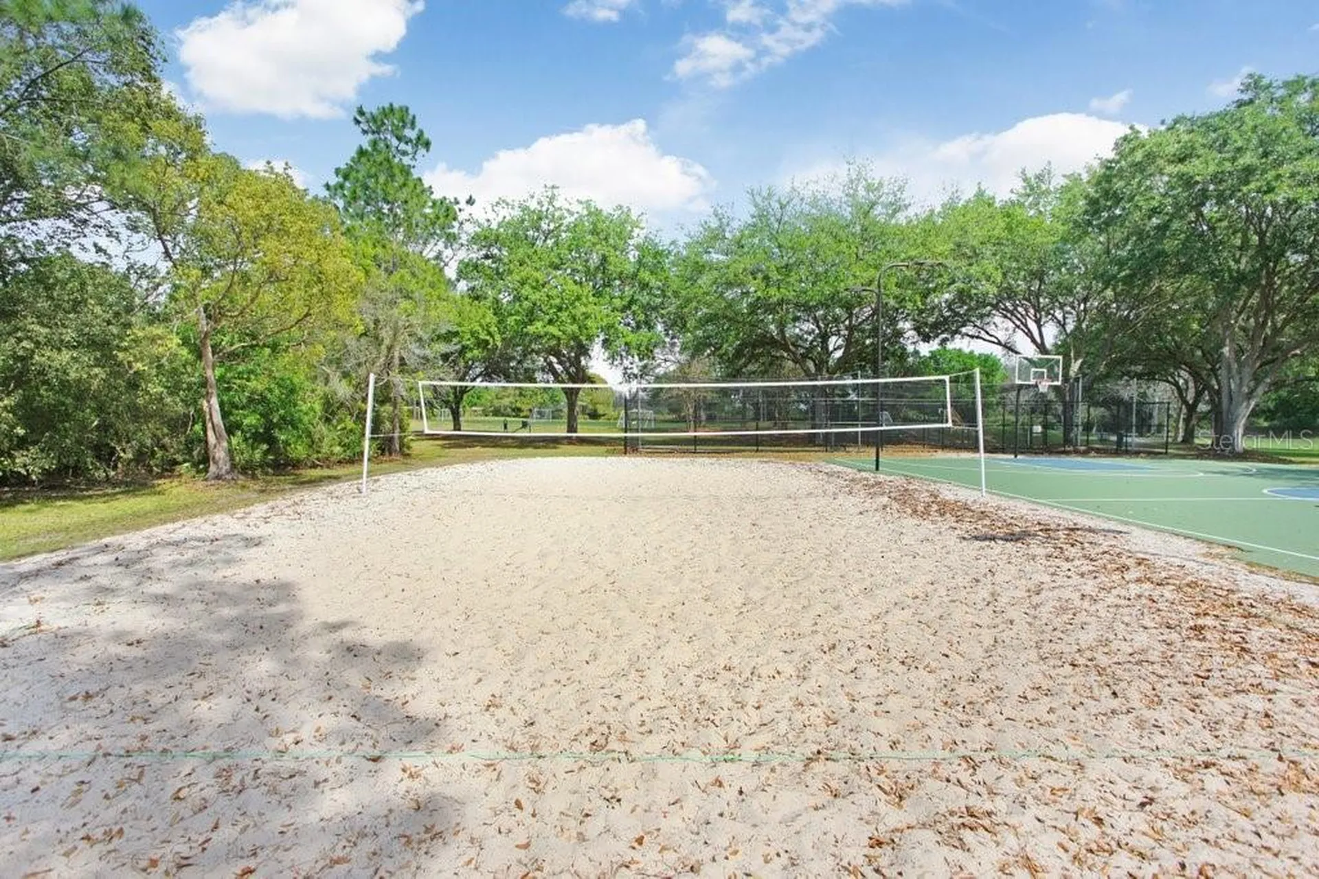18124 Courtney Breeze Drive Tampa FL 33647