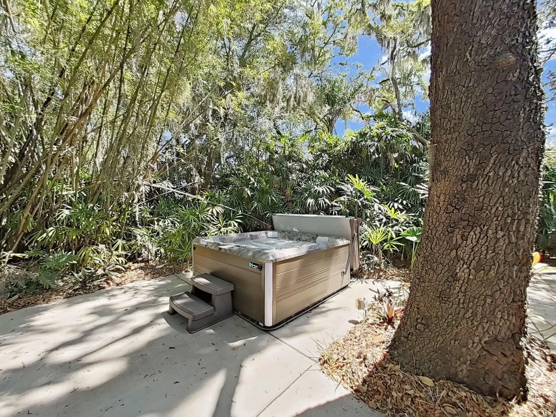 18835 Tracer Drive Lutz FL 33549