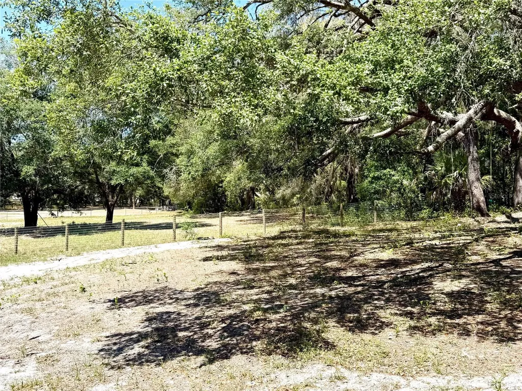 9711 SE Highway 464c Ocklawaha FL 32179