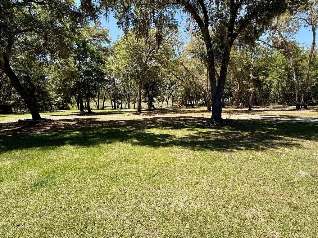 9711 SE Highway 464c Ocklawaha FL 32179